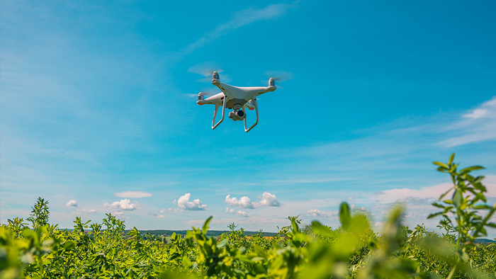 drone consultation for business