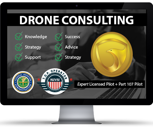 Drone Consulting and Strategy Services